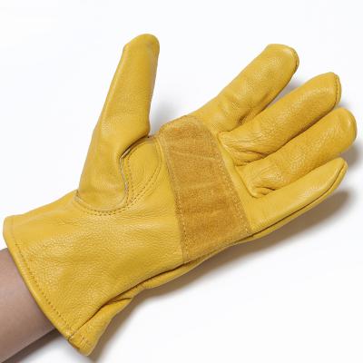 China Comfortable Cattle Scare Skin Proctecting Leather Gloves For Men Women Workers Working Safety Protection With Warm Comfortable Inner H93 for sale