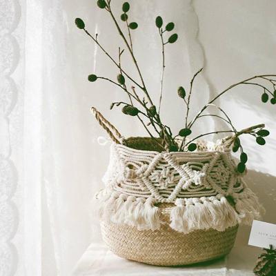 China Viable Handmade Woven Home Organizer Wicker Basket Bohemian Basket Room Study Flower Pot Wicker Garden Decoration Tassel Wicker Basket for sale