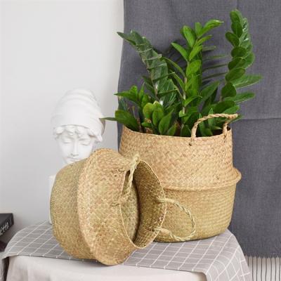 China Modern Vegetable Plankton Woven Hanging Foldable Decorative Flower Pots Garden Plant Wicker Baskets Plant Storage Basket for sale