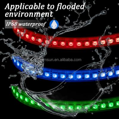 China LANDSCAPE 24v 5m smd5050 120leds RGB flexible waterproof led strip ip68 for sale