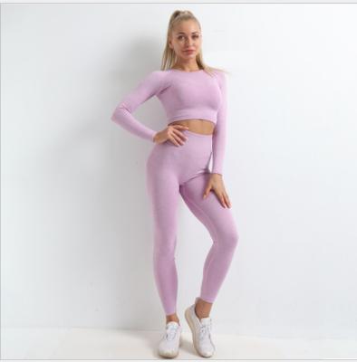 China Breathable Fitness and Yoga Wear Set for Women Sportswear Women Sportswear High Quality Gym Clothing for sale