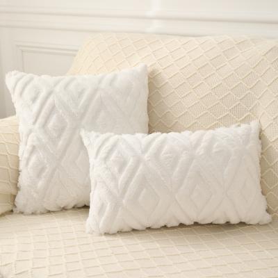 China Wholesale Anti-Static Pure White Single-Sided Soft Comfortable Skin Plush Pillow Case Factory Cushion Cover for sale