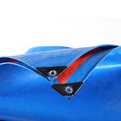 China Wind proof waterproof pe plastic tarpaulin plastic sheet with all specifications for sale