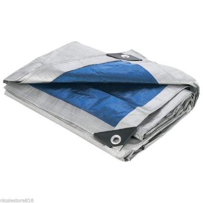 China White pe tarpaulin/pe tarpaulin /poly tarpaulin for sale