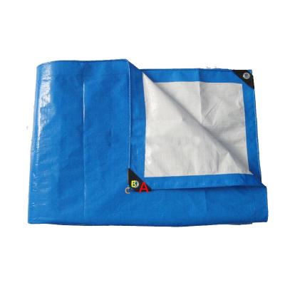 China Tarpaulin Africa Cover Blue / White Sheet for sale