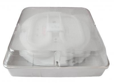 China Maintained LED ceiling emergency light  IP65 for sale