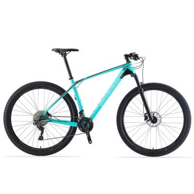 China 2021New Factory Supply 29 Carbon Mountain Bike Carbon Bike 29Inch Moutain Lightweight Durable Bicycle for sale