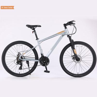 China Istaride Steel Bikes For Adults Mountain Bike Bicicleta Bikes For Men 26 Inch To The Hill Bike29 Lightweight Kids Low for sale