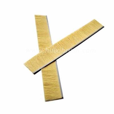 China Traditional Tampico fiber /sisal tape brush for door and window lift with low price for sale