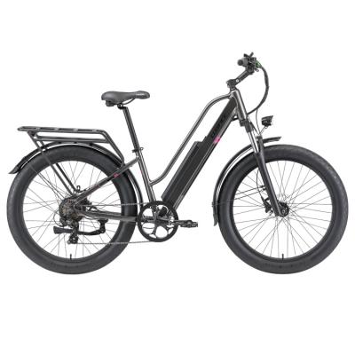 China Hot Selling 6061 Alloy 6061 Adult 26inch e cycle 750w 1000w Urban Urban Cargo Electric Bike Wholesale For OEM ODM for sale