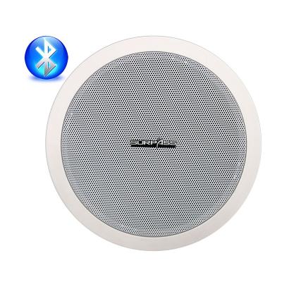 China HOME THEATER Class-D Amplifier Full Range BT Ceiling Speaker Built-in Horn With Good Quality for sale