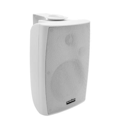 China No Public Address 30W PA Wall Mount Speaker Adjustable Passive Surround High Fidelity Stereo Super Bass Speaker for sale