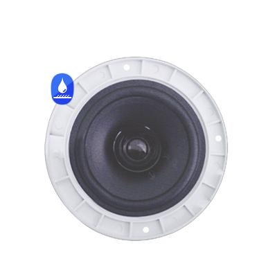 China Listen Video 5 Inch Music Systems Speaker Marine Boat Home Bathroom Waterproof Ceiling Speaker for sale