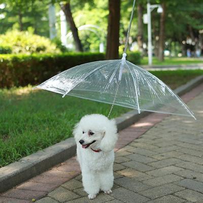 China New modern design the transparent dog umbrella for sale