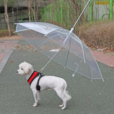 China New Style Customized Modern Dog Pet Transparent Umbrella With Logo for sale