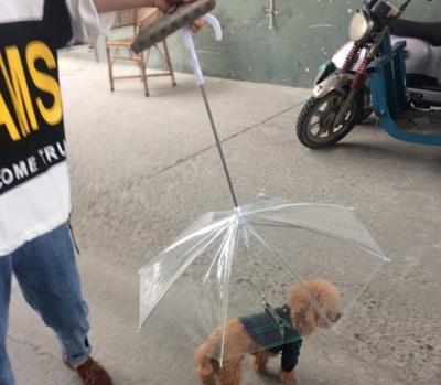 China Children's Pet Rain Gear Transparent Waterproof Dog Umbrella With Leash for sale