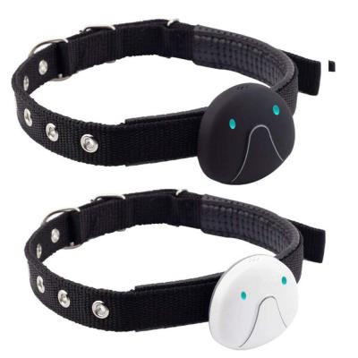 China Real Time GPS Pet 4g Gps Tracking Collar With Unlimited Range Waterproof Locater For Animal for sale