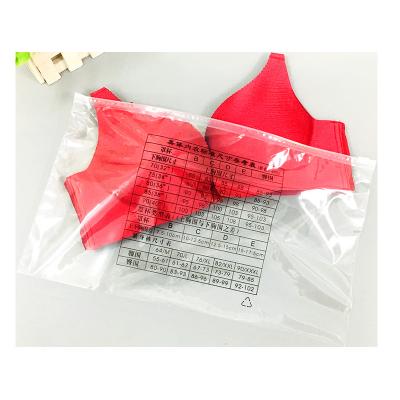 China BIODEGRADABLE Slide Zipper Bag For Underwear Packaging Bag With Printing Easy To Use Garment Slider Zipper Bag for sale