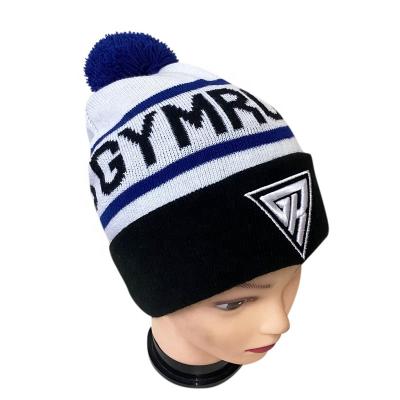 China COMMON Embroidered Knit Beanie Hat With Acrylic Pom Pom Men's Custom Jacquard Knit Pom Beanie With Embroidery for sale