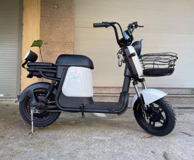 China Factory Supply Steel Cheap Electric Bike Cycle Price Electric Bike 48v Moped Electric Bike Two Seater for sale