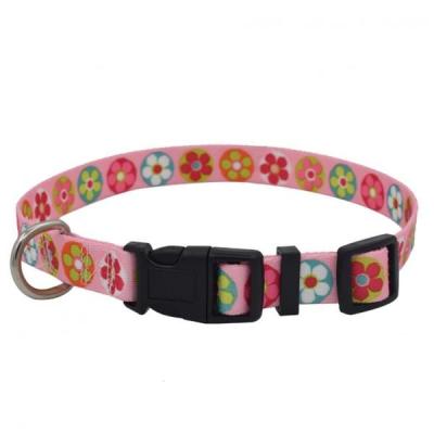 Cina Adjustalbe ha personalizzato il collare di cane di nylon facile pulisce con la linea riflettente in vendita