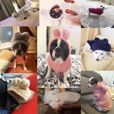 Chine Hoodies faits sur commande de chien d'hiver, chien de preuve froide petits et vêtements de chat à vendre