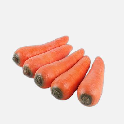 China Easy To Do 1 PC Rubber Carrot Fake Empty Hand Stage Imitation Magic Tricks Vanishing Appearing Magician Carrot Illusion Gimmick Toys for sale