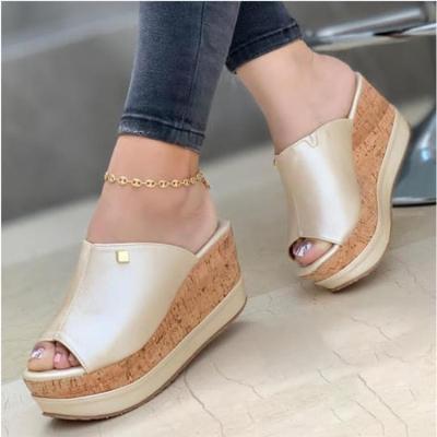 China Fashion Trend Wedge Heel Summer Women Slippers Fish Mouth Lady Platform Mules Street Wear High Heel Female Slippers Sandals for sale