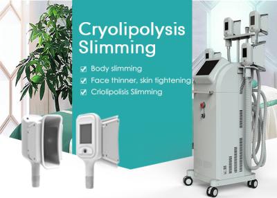 China Máquina del helada de Equipos De Medicina Estetica Cryolipolysis Lipo del alto rendimiento en venta