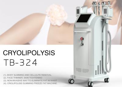 China Neueste Cryolipolysis-Maschine/fetter einfrierender Körper, der Maschinen-Gewichtsverlust-Ausrüstung abnimmt zu verkaufen