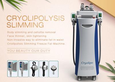 China -15 — 5 5 Köpfe Cryolipolysis-Körper verlieren Celsius, der Maschine für abnimmt, Reduzierung des Gewichts-/Cellulite zu verkaufen