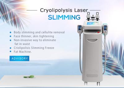 China Membrana Cryolipolysis del anticongelante del sistema Zeltiqs de la cavitación del vacío de la pantalla táctil en venta