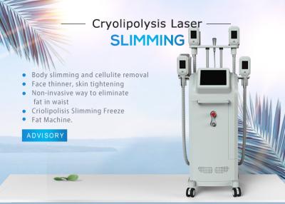 China Cellulite verringern Cryolipolysis, das Maschinen-/Verlust-Gewichts-Ausrüstung Cryo fette einfrierende abnimmt zu verkaufen