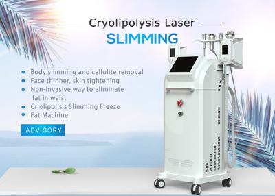 China Agua + refrigeración por aire 10,4 pulgadas Cryolipolysis que adelgaza la máquina con 5 manijas 1800W en venta