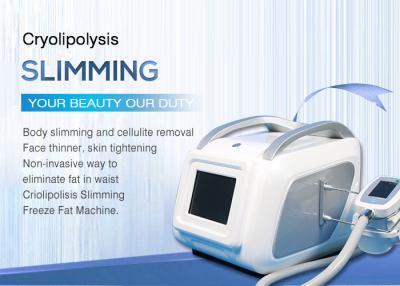 China Miniultraschall-Hohlraumbildung Cryolipolysis-Körper, der Maschine/Haut-Verjüngungs-Ausrüstung abnimmt zu verkaufen