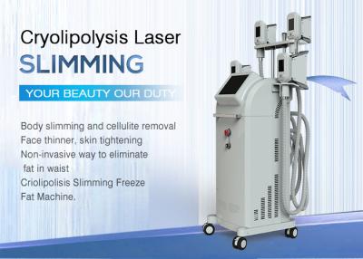 China Schönheits-Salon Cellulite-Behandlung Cryolipolysis, das Maschine/vier Köpfe abkühlen Sculpting Cryo-Maschine abnimmt zu verkaufen