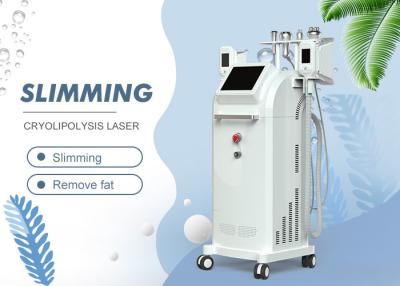 China Touch Screen 5 in 1 Abnehmenmaschine/Frost-Hohlraumbildung Rf-Vakuum Cryo Lipo in fettem, die Ausrüstung abnehmen zu verkaufen