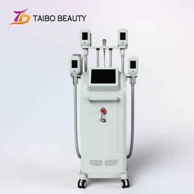 China Reducción Cryolipolysis de las grasas de cuerpo entero que adelgaza la máquina con las manijas de la pantalla táctil cuatro en venta