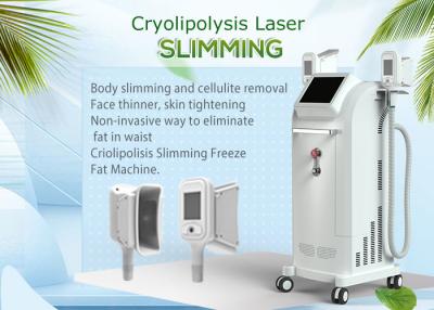 China Cuatro manijas Cryolipolysis del tratamiento que adelgaza la máquina con la grasa de la pantalla táctil reducen en venta