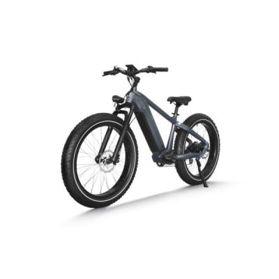 China Aluminum alloy factory price fat tire fat bike electric bike for sale