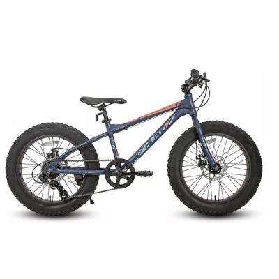 China Fat Tire Aluminum Alloy Full Suspension Adult Mtb Frame Cycle Snow Mountainbike Inclined Mountain Bike for sale