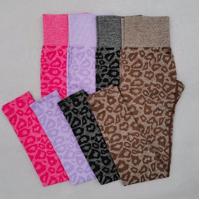 China Breathable Seamless Animal Print Workout Leggings Women Fitness Compression Yoga Pants Active Wear Tummy Control Waist Tops Gym Tights for sale