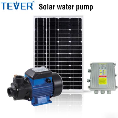 China Home Water Supply 24v Self Priming Solar Powered Water Pump For Home for sale