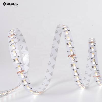 China LANDSCAPE COLORFUL White Warm Cool White Dual Led Strip Rope Light Remote Control Light IP20/IP65 12V 24V for sale