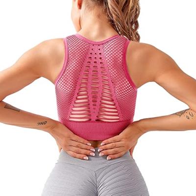 China High Impact Breathable Women Seamless Hollow Out Runner Back Yoga Bra Crop Tops Sports Workout Fitness Activewear for sale