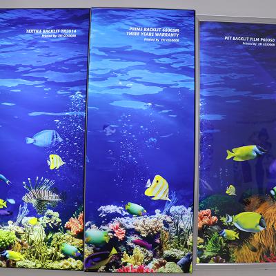 China interior & Outdoor Advertising Backlit PVC Flex Banner Advertisement Printing Material for sale