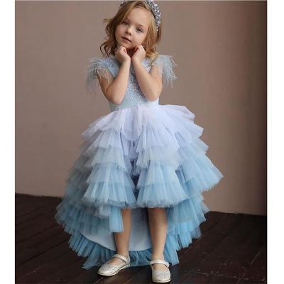 China Customs Regular American Boutique Super Fairy Fade Princess Wedding Party Ball Scratch Appliqued Tulle Bridesmaid Tail Dress For Kids for sale