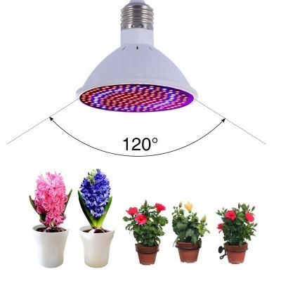 China For Plant LED Grow Lights Full Spectrum E27 PAR38 PAR30 15W 20W 26W Phyto-Lamp For Indoor Flower Vegetable Plant Tent Box Fitolamp for sale