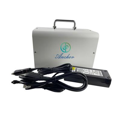 中国 3g 12v 24v Ozone Sterilizer Machine For Car Home Electrical Portable 販売のため