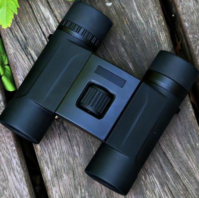 China small compact lightweight binocular 8x25 telescope for bird watching Mini Pocket Folding Guided Moving Binoculars SD-8x25 for sale